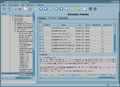 Thumbnail for version as of 19:13, 11 September 2022