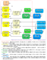 Thumbnail for version as of 19:13, 27 May 2018