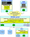 Thumbnail for version as of 20:41, 25 November 2017