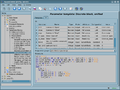 Thumbnail for version as of 13:20, 11 January 2022